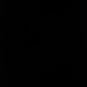 Meet your Posher, Nikita